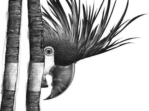 Open Studio's Highlands - Darren Gilbert - Queensland Tourism 2