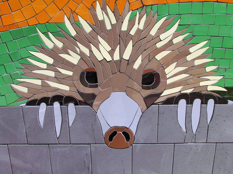 SALA 2020 - Colour Our World - QLD Tourism 0