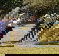 Sculpture for Clyde - Outdoor Exhibition - Queensland Tourism