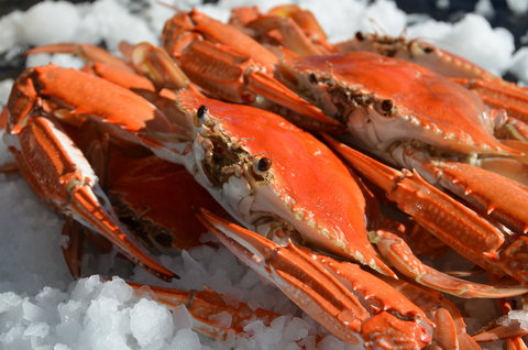 Seafood On Spencer - QLD Tourism 1