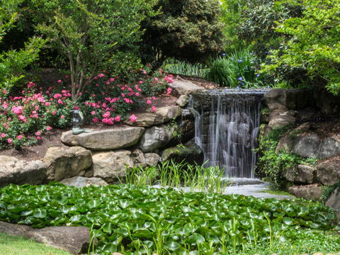 Spring Time At Hunter Valley Gardens - Queensland Tourism 1