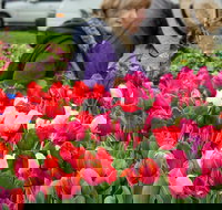 Spring Fling - QLD Tourism