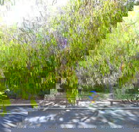 SunSmart FunMan Triathlon - QLD Tourism