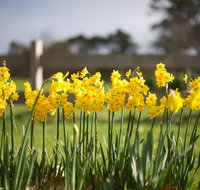 Sunday at Cruden Farm - QLD Tourism