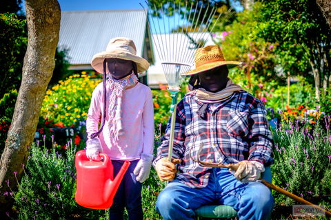 Tamborine Mountain Scarecrow Festival - QLD Tourism 2