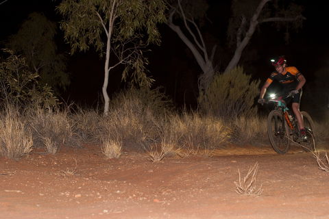 The Redback - Queensland Tourism 1