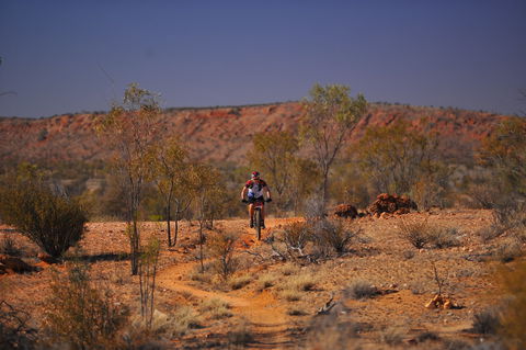 The Redback - Queensland Tourism 2