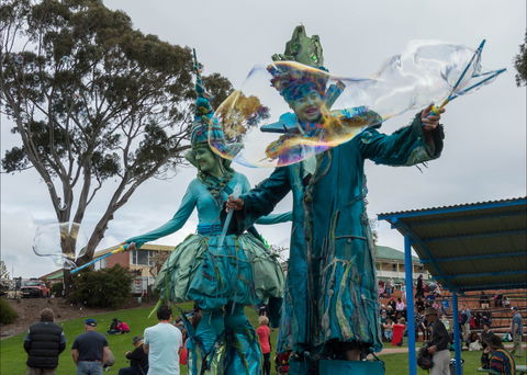 Tulip Festival Wynyard - Queensland Tourism 0
