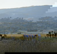 Tumut Cycle Classic - Queensland Tourism