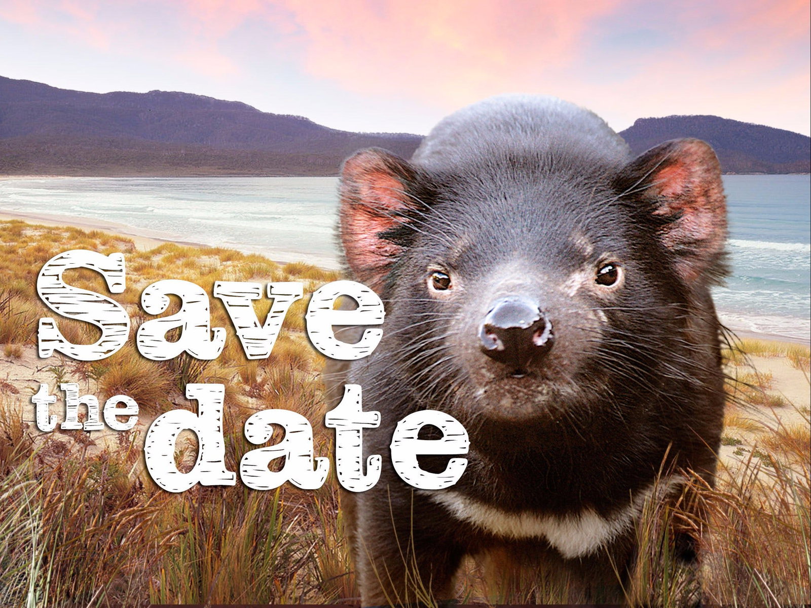 Tunbridge TAS QLD Tourism