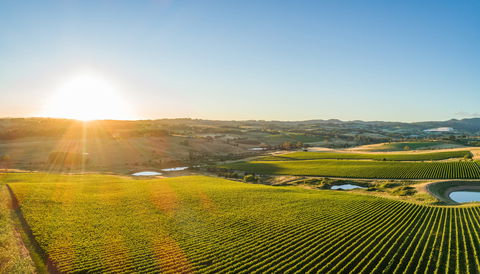 Wine And Food At Altitude - QLD Tourism 0
