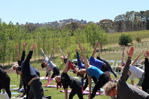 Yoga In The Vines - Queensland Tourism 0