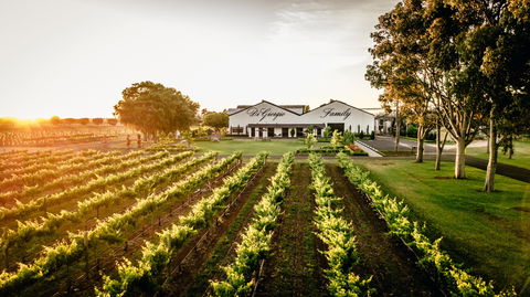 Aged Wine And Vintage Pies - QLD Tourism 2