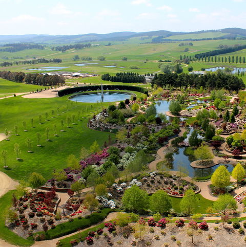 Mayfield Garden Spring Festival - QLD Tourism 1