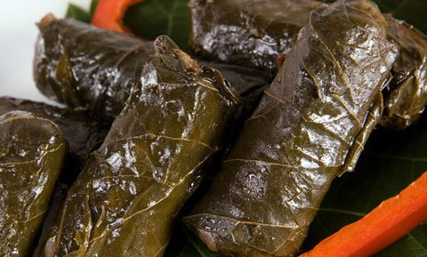 Gebran Lebanese Cuisine - Queensland Tourism 2