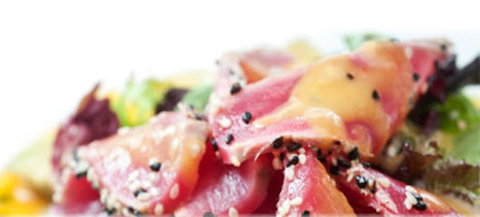 Sushi Yachiyo - QLD Tourism 0