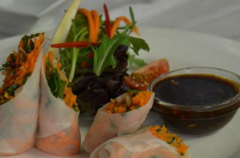 Harvest Vegetarian Restaurant - QLD Tourism 1