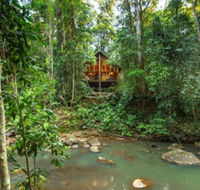The Canopy Rainforest Treehouses and Wildlife Sanctuary - Queensland Tourism