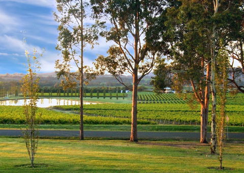 Estate Tuscany - Queensland Tourism 6