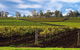 Estate Tuscany - thumb 3