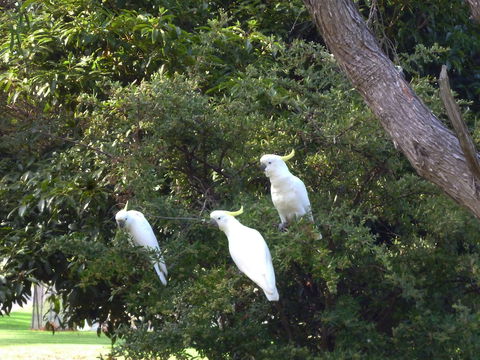 Coachman's Eden - QLD Tourism 5