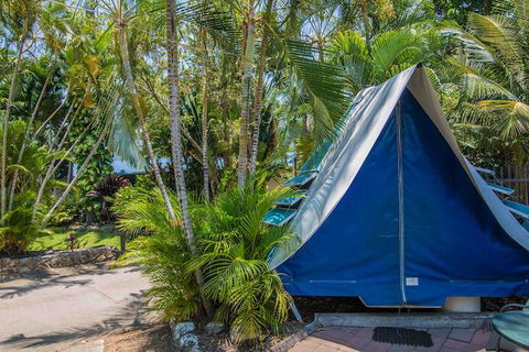 Tasman Holiday Parks - Airlie Beach - Queensland Tourism 5
