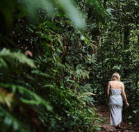 Daintree Ecolodge - Queensland Tourism