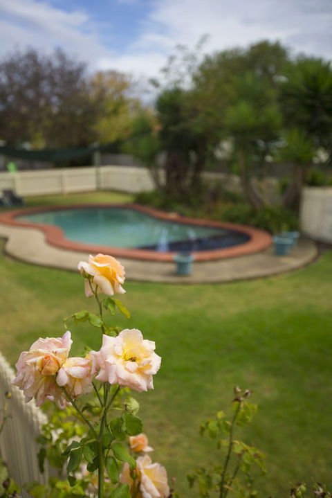 Rose Garden Motel - Queensland Tourism 3