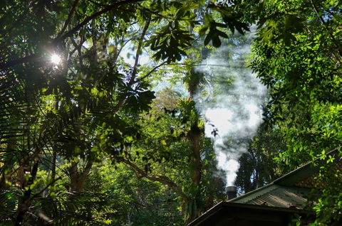 Narrows Escape Rainforest Retreat - Queensland Tourism 5