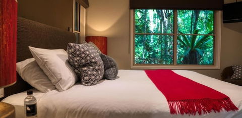 Narrows Escape Rainforest Retreat - Queensland Tourism 1