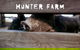Hunter Valley Resort - thumb 6
