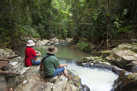 Rose Gums Wilderness Retreat - Queensland Tourism 1