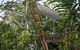 Rose Gums Wilderness Retreat - thumb 2
