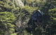 Rose Gums Wilderness Retreat - thumb 0