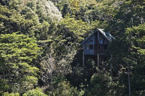 Rose Gums Wilderness Retreat - Queensland Tourism 0