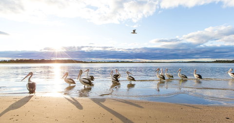 El Paso Motor Inn - Queensland Tourism 0