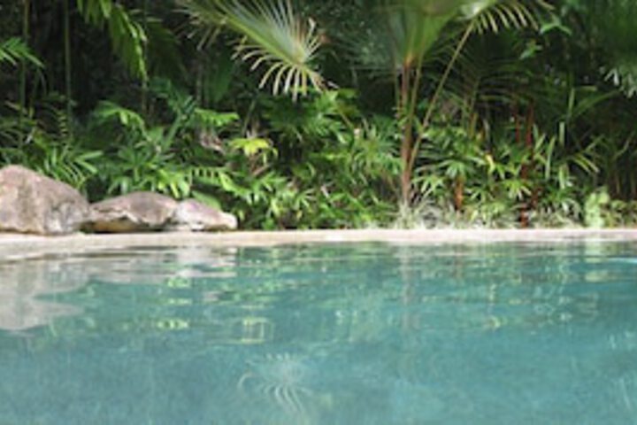 Cow Bay QLD Queensland Tourism