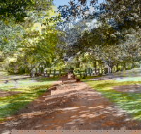 Spicers Hidden Vale - QLD Tourism