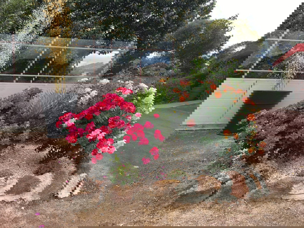 Rhymney VIC Queensland Tourism