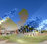 Kalbarri Palm Resort - Queensland Tourism