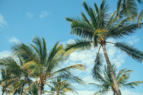 Base Magnetic Island Hostel - QLD Tourism 0