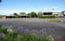 The Barossa Motel - thumb 6