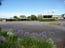 The Barossa Motel - Queensland Tourism 6