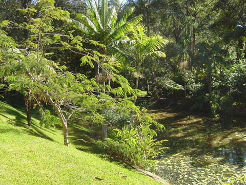Sensom Luxury Bed & Breakfast - QLD Tourism 5
