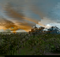 Ocean International - QLD Tourism