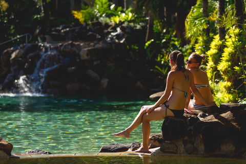 Palm Royale Cairns - QLD Tourism 3