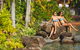 Palm Royale Cairns - thumb 4