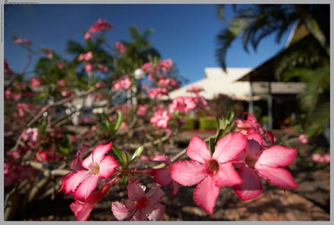 Seashells Broome - QLD Tourism 4