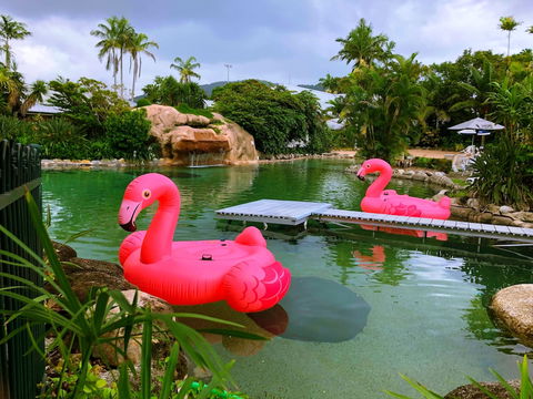 Cairns Colonial Club Resort - QLD Tourism 4