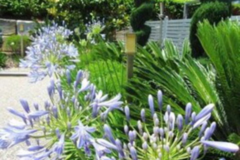 Highfields Motel Toowoomba - Queensland Tourism 5